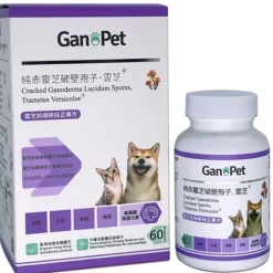 [25% off] Cracked Ganoderma Lucidum Spores, Trametes Versicolor Best before 2026.09.05