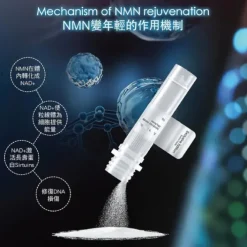 Advanced Wrinkle Lifting Booster (Tightening, Reduce Wrinkle, Skin Elasticity, Skin Rejuvenation) (e3g/10 bottles per box) AD001