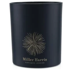 Candle - Cassis En Feuille