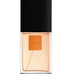 Coco Eau De Toilette Spray