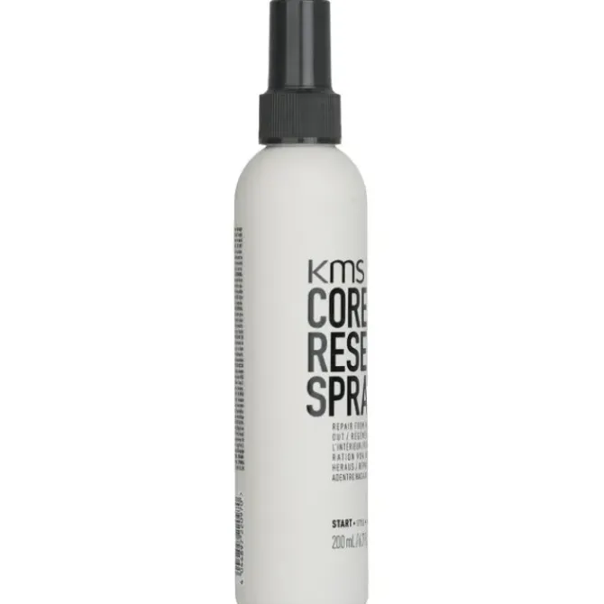 Core Reset Spray (Repair From Inside Out)