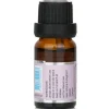 Fragrance Oil