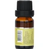 Fragrance Oil