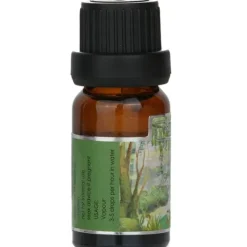 Fragrance Oil