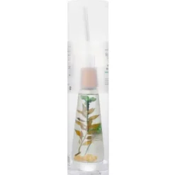 Home Fragrance Herbarium Reed Diffuser - Green