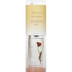 Home Fragrance Plante Diffuser - Rose