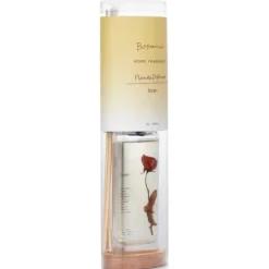 Home Fragrance Plante Diffuser - Rose