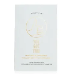 Impressions Car Fragrance - You Got This