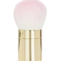 Meteorites Powder Brush