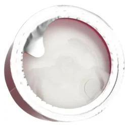 N°1 De Chanel Red Camellia Rich Revitalizing Cream Refill