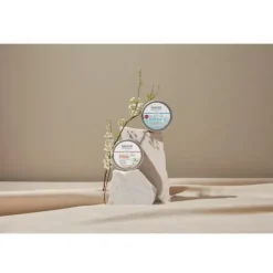 Natural & Strong Cream Deodorant - With Organic Ginseng