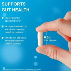Shape B420 Probiotic